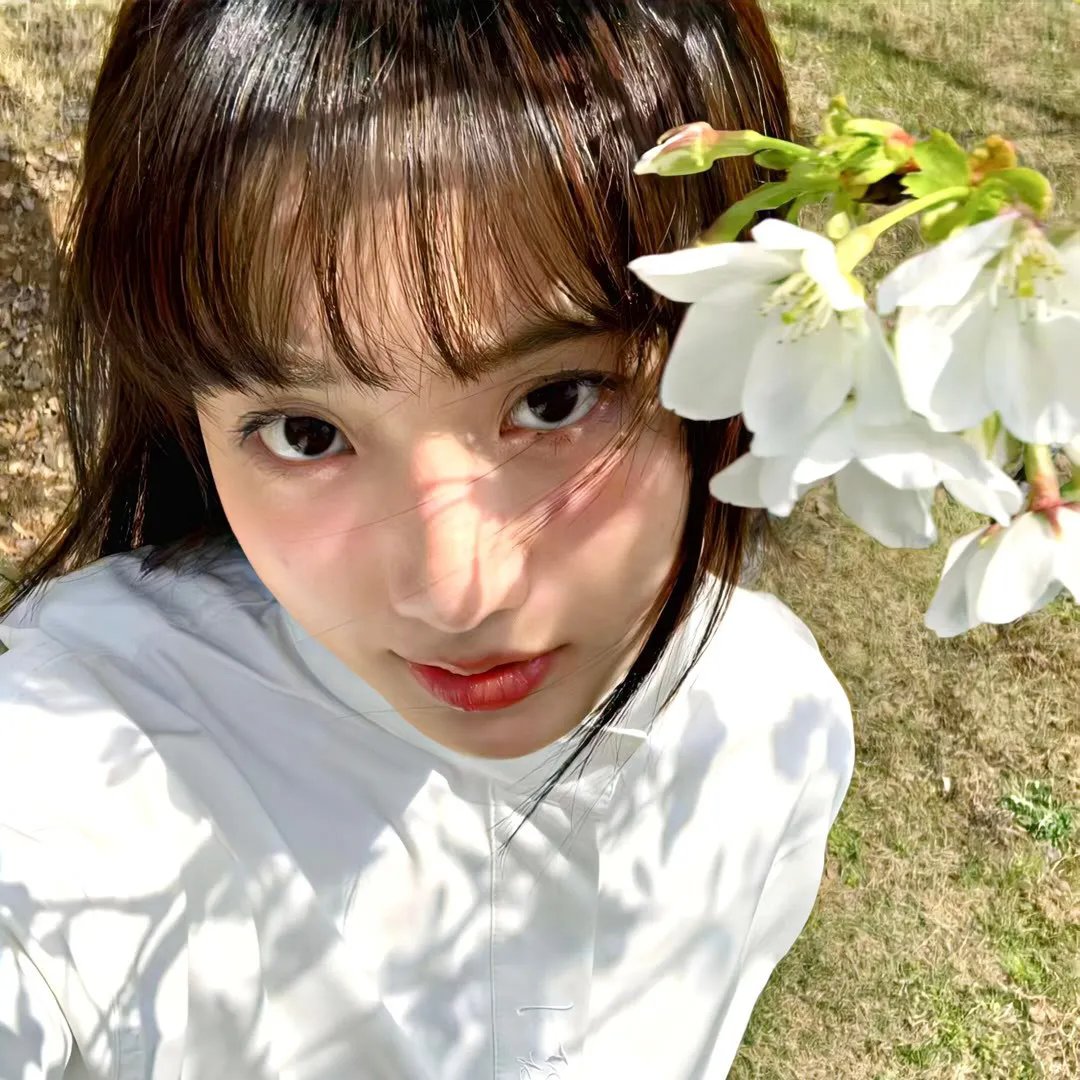 在我姐姐的婚纱里
